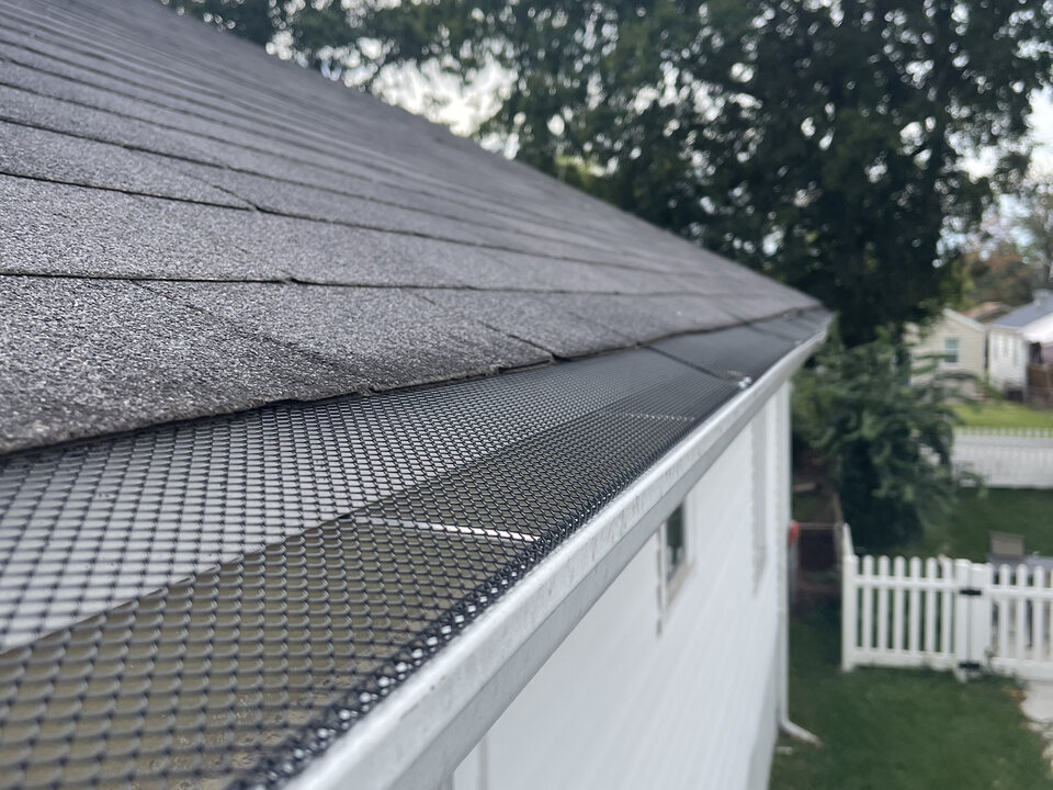 Black mesh gutter guard installed over a white gutter along the edge of a gray shingle roof
